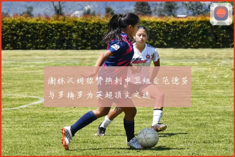 谢林汉姆称赞热刺中卫组合范德芬与罗梅罗为英超顶尖之选